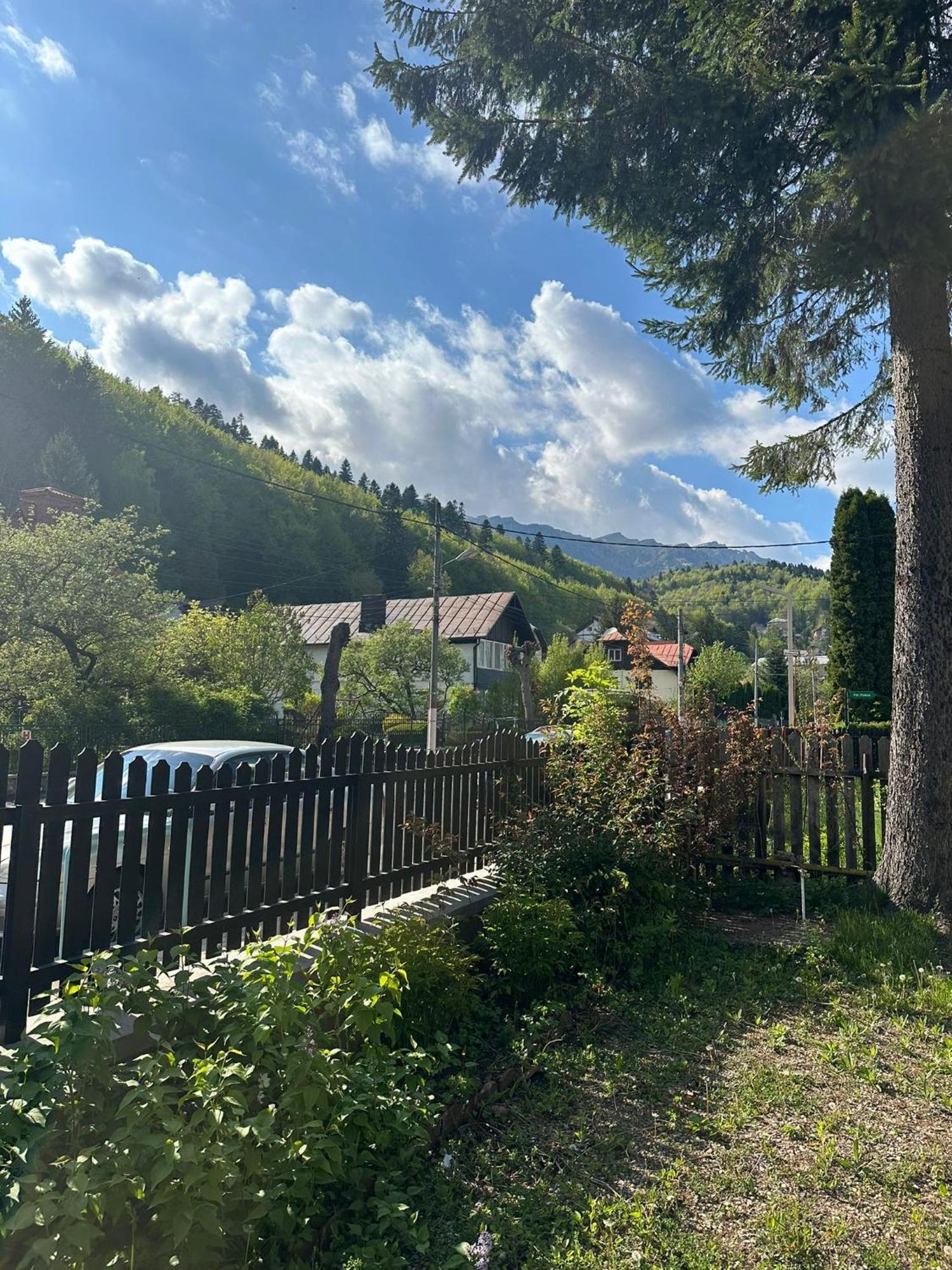Rapsodia Sinaia Bed & Breakfast Bagian luar foto