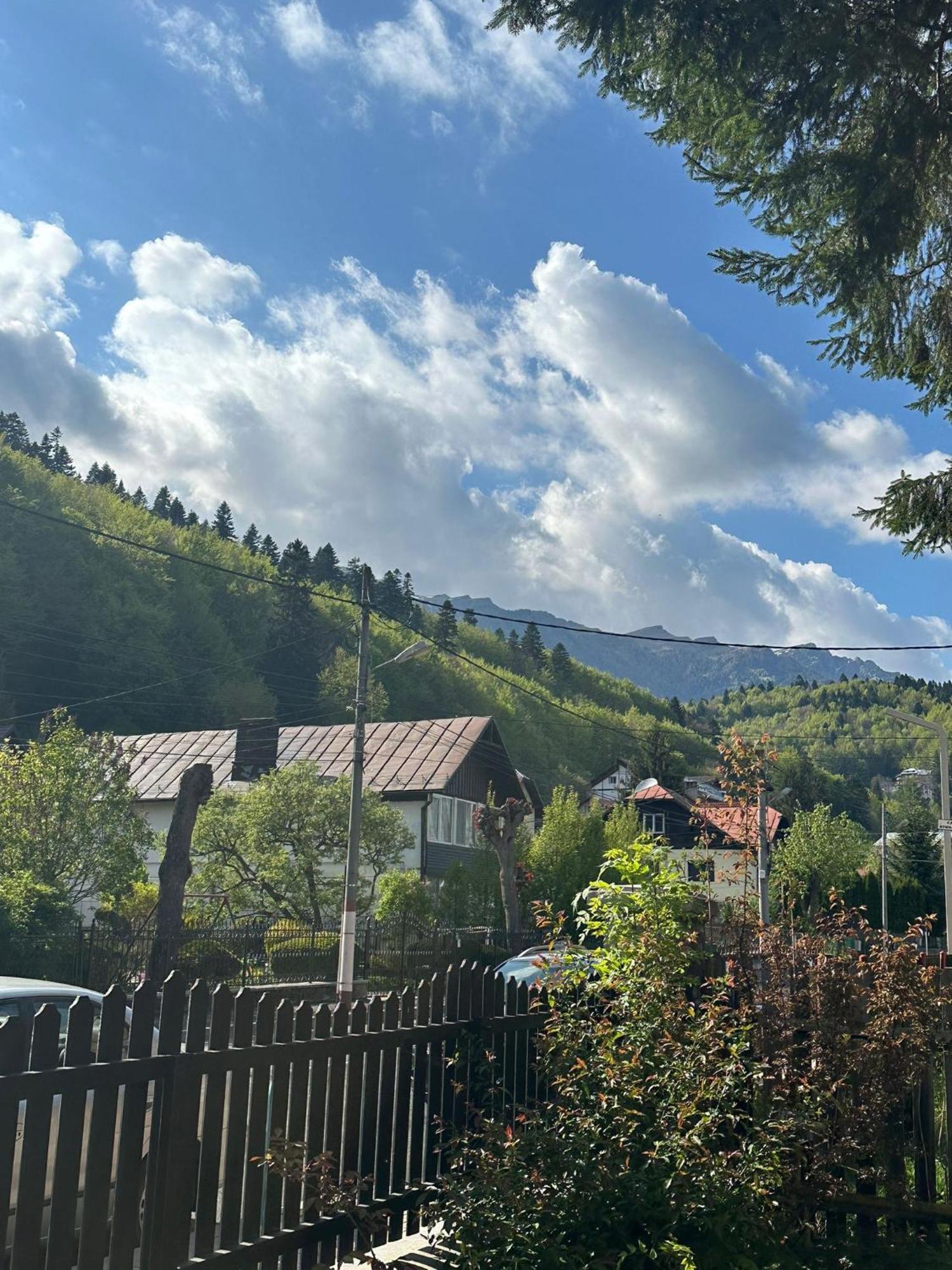 Rapsodia Sinaia Bed & Breakfast Bagian luar foto