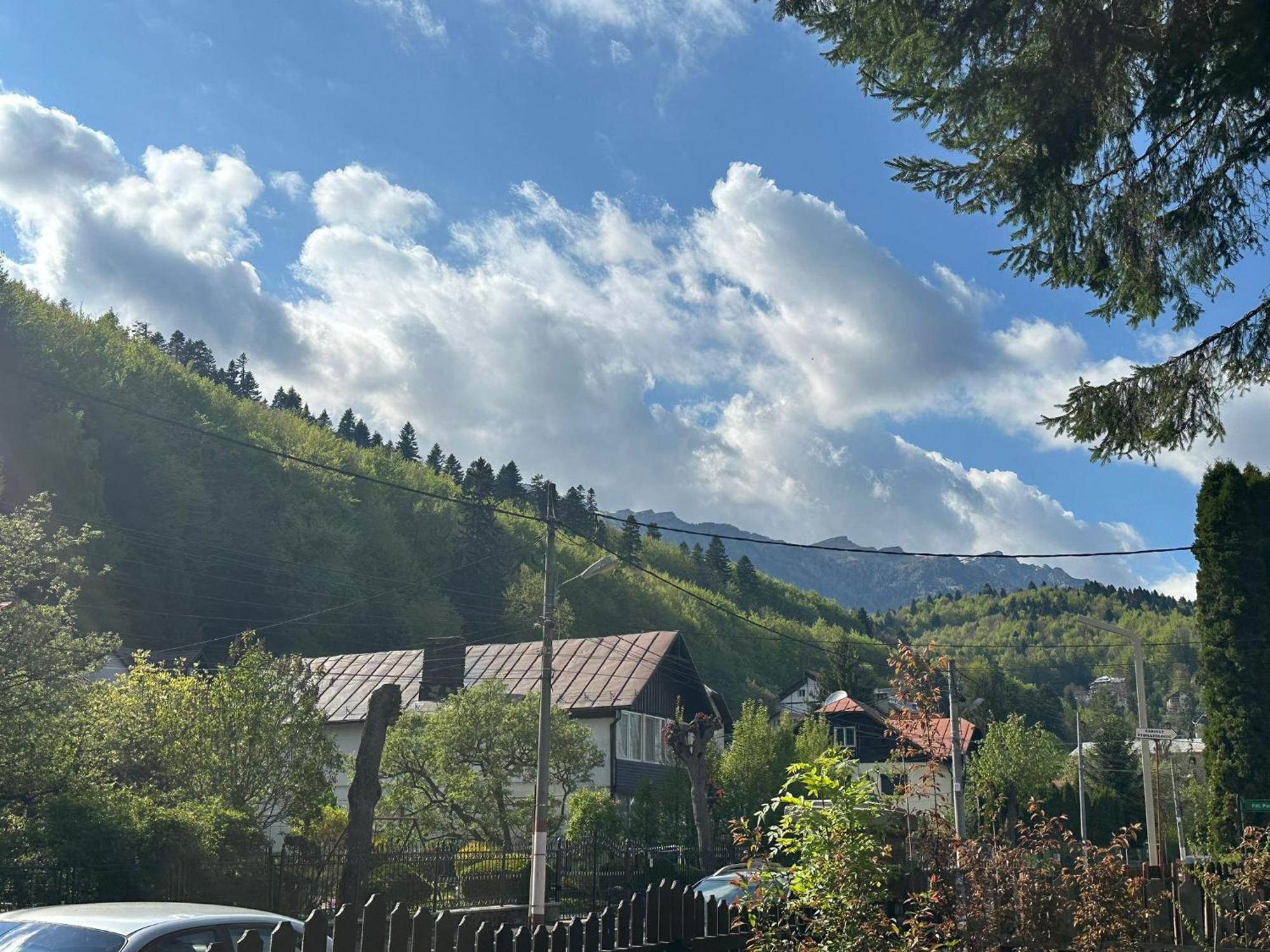 Rapsodia Sinaia Bed & Breakfast Bagian luar foto