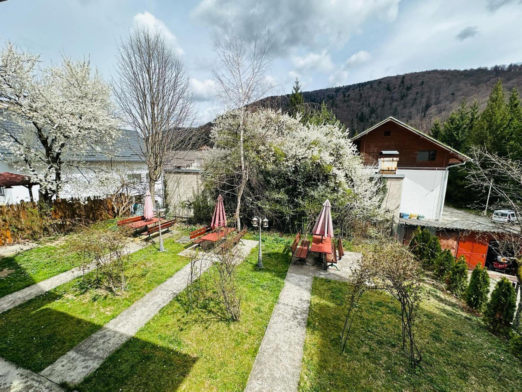 Rapsodia Sinaia Bed & Breakfast Bagian luar foto