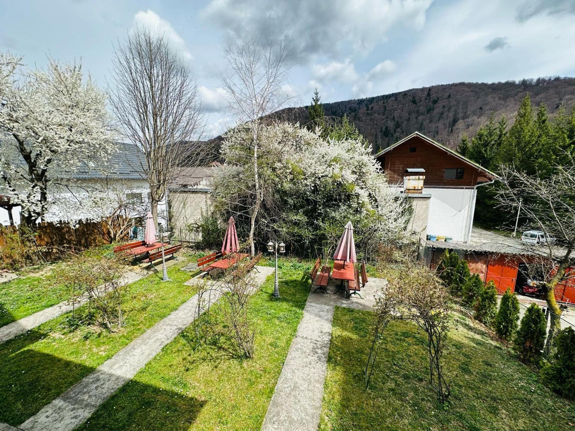 Rapsodia Sinaia Bed & Breakfast Bagian luar foto