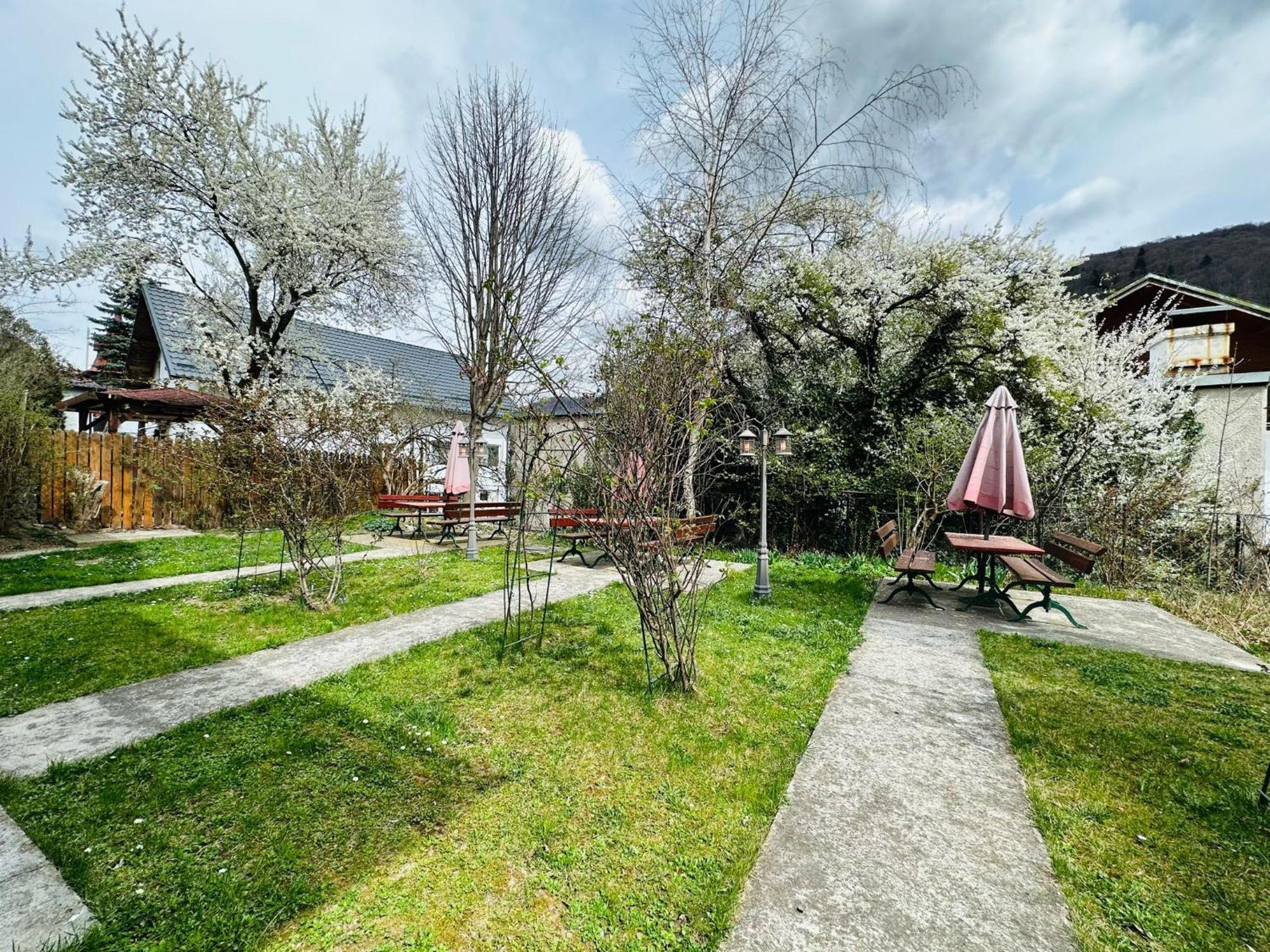 Rapsodia Sinaia Bed & Breakfast Bagian luar foto