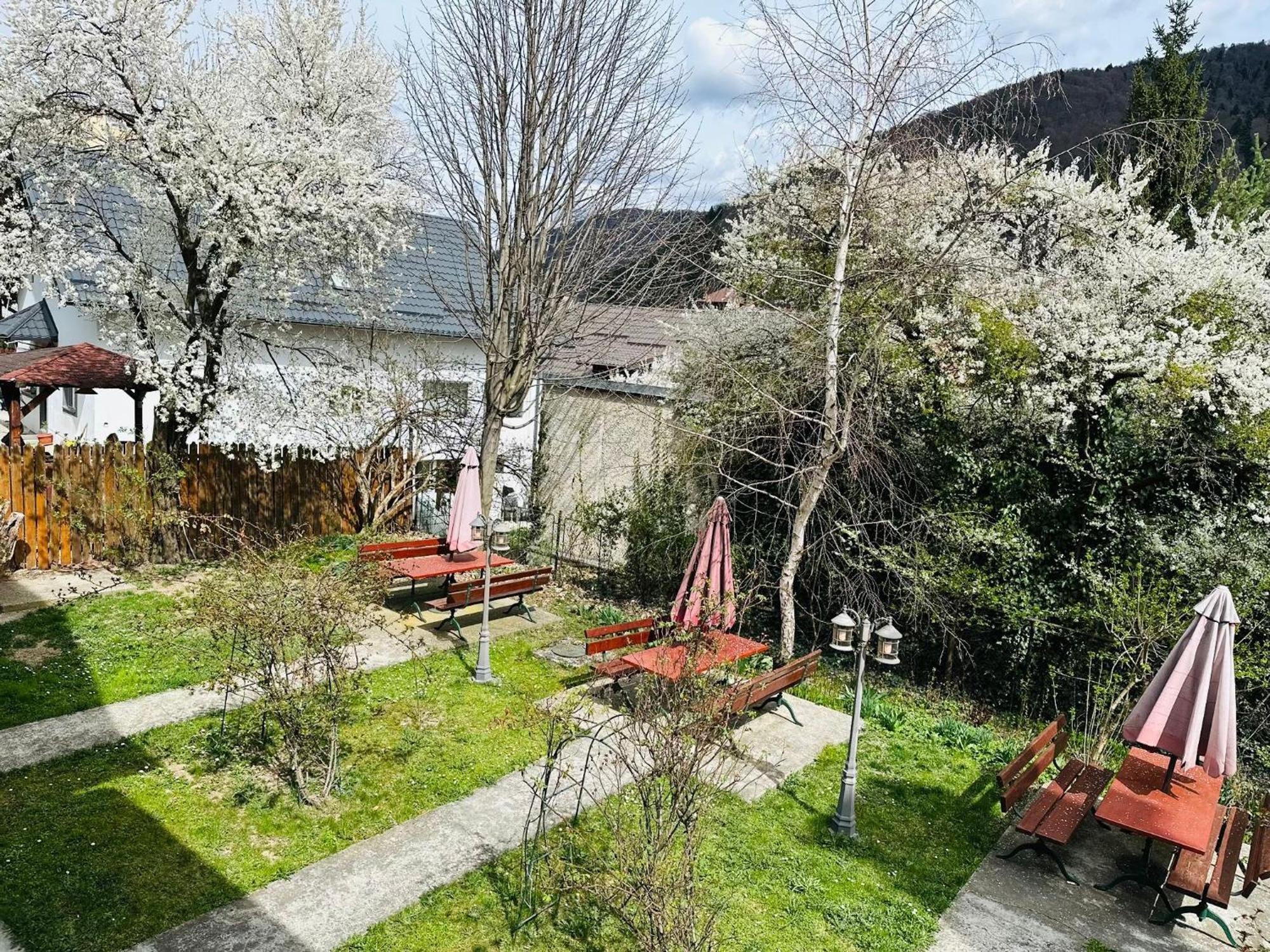 Rapsodia Sinaia Bed & Breakfast Bagian luar foto